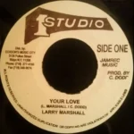 Your Love Riddim – Various Labels