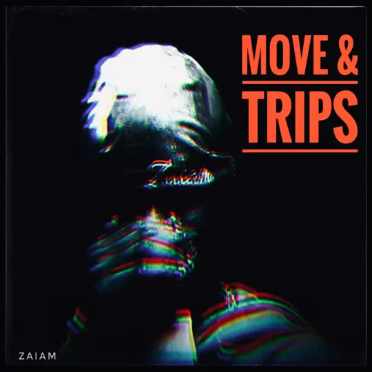 Zaiam - Move/trips