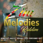 Zim Melodies Riddim – Afro Vision Music