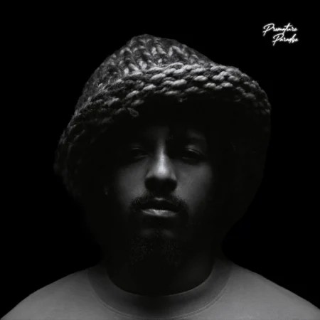 Zion Marley - Premature