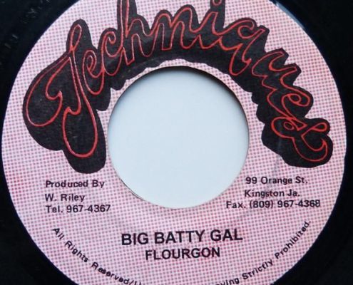 A Fi Fly Out Riddim