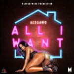 acegawd – all i want – mathsofmind productions 2019