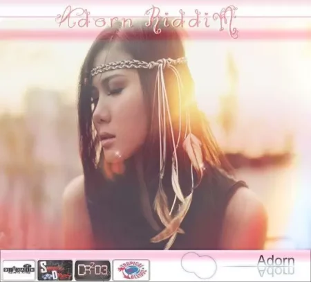 Adorn Riddim – DJ Dain Remix Adorn Riddim - Dj Dain Remix