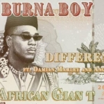 feel the afro-beats wave with burna boy, africa’s giant