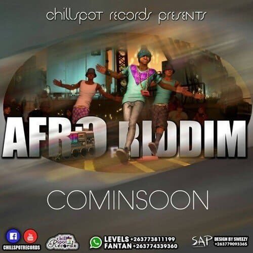 afro riddim - chillspot records
