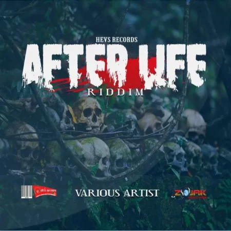 After Life Riddim - Hevs Records