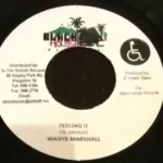Ak 47 Riddim (2008) – Black House Records