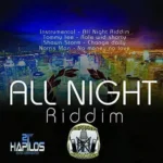 All Night Riddim – Bridgeview Productions
