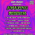 Amazing Riddim (2022) – 3in1 Music
