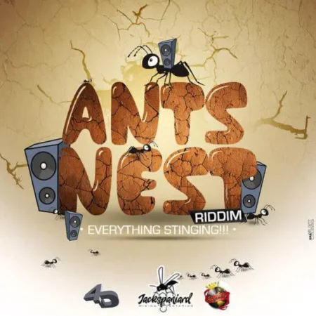 Ants Nest Riddim – Royalty Recordz ants nest riddim - royalty recordz