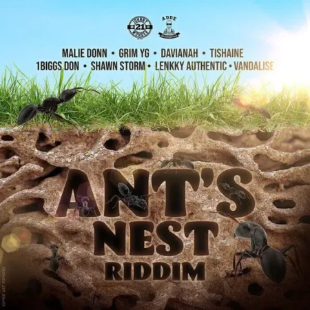 Ant's Nest Riddim - Johnny Wonder