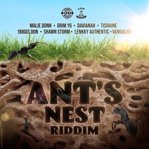 ants-nest-riddim-johnny-wonder