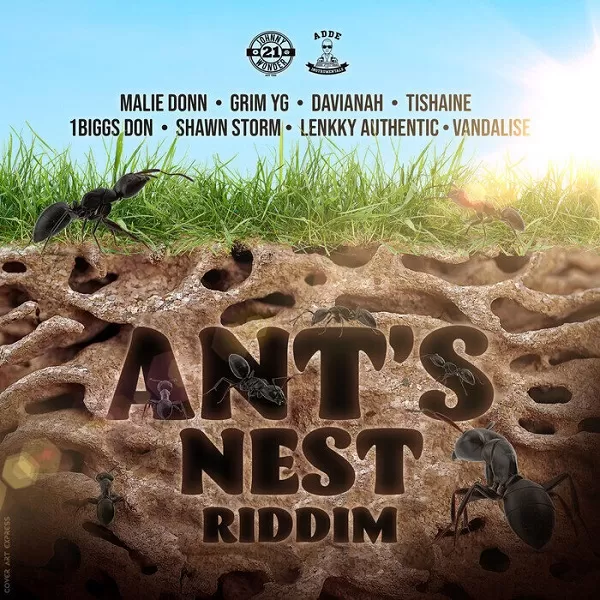 ant's nest riddim - johnny wonder