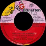 Anything For You Riddim (1995) – 2b Grafton House
