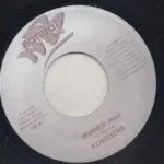 Asteroid Riddim – Natural Bridge