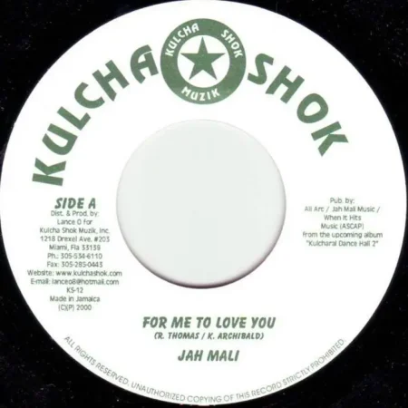 Babylon Wrong Riddim – Kulcha Shok babylon wrong riddim - kulcha shok