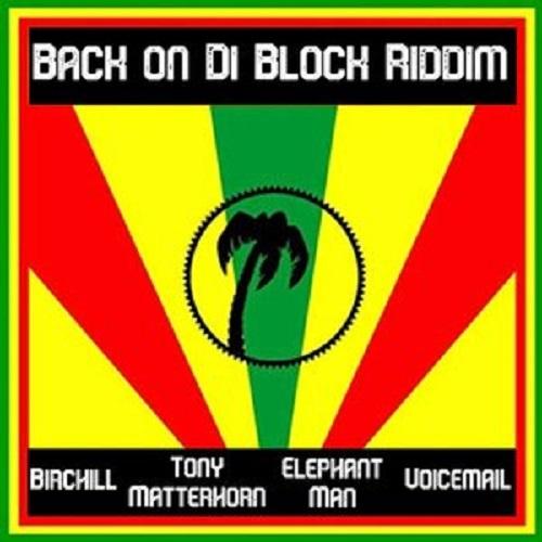 back pon di block riddim - birch music