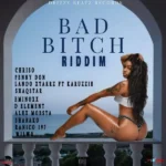 Bad Bitch Riddim – Drizzy Beatz Records