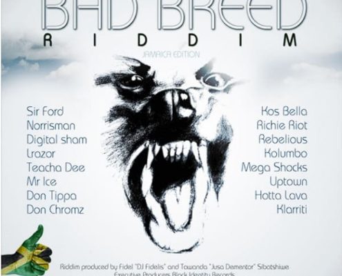 bad-breed-riddim-jusa-2013