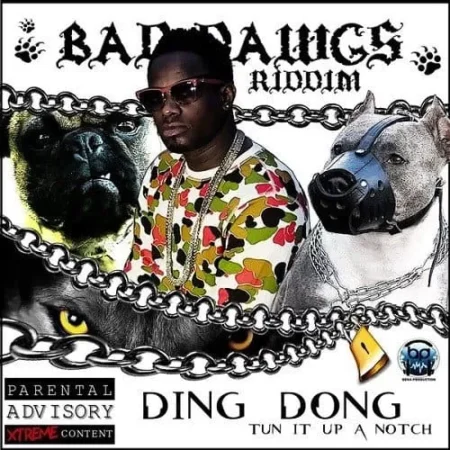 bad dawgs riddim - bena production