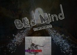 Bad Mind Riddim 2011