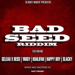 bad-seed-riddim-slacky-music
