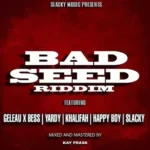 Bad Seed Riddim – Slacky Music