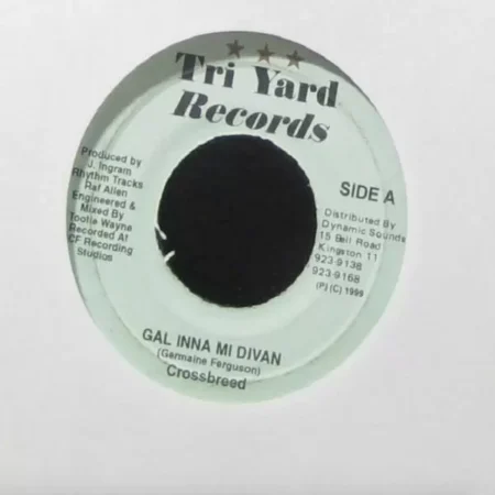 Lignum Vitae Aka Baddis Riddim - Tri Yard Records