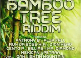 bamboo tree riddim zed2dizee music