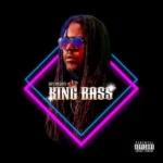 Bay-c – King Bass Album