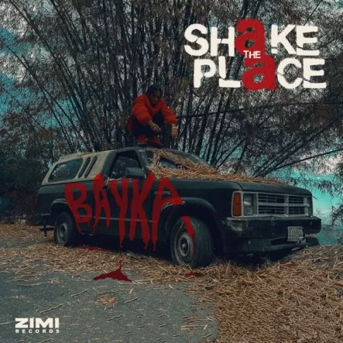 bayka - shake the place