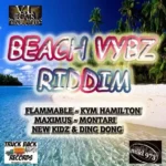 Beach Vybz Riddim (2015) – Vi Beats Productions