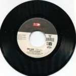 Beauty Riddim (2008) – Vp Records