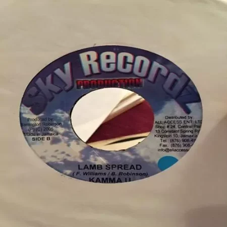 Big Stone Riddim – Sky Recordz big stone riddim - sky recordz