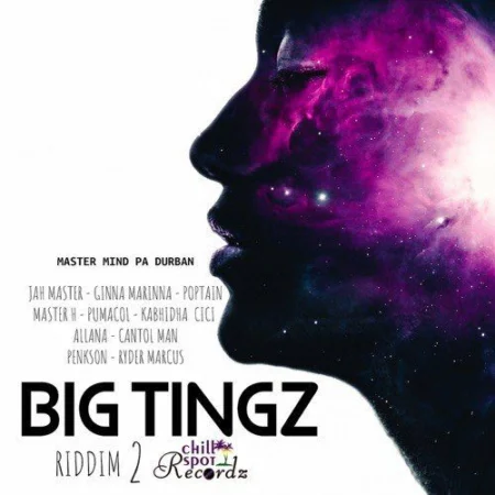 big tingz riddim 2 - chillspot records