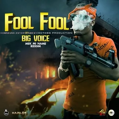 big voice - fool fool