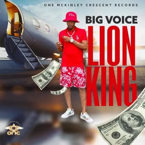 big voice - lion king