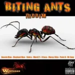 Biting Ants Riddim – Wiletunes