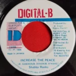 Black Woman And Child Riddim – Digital B