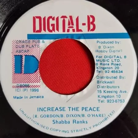 black woman and child riddim - digital b