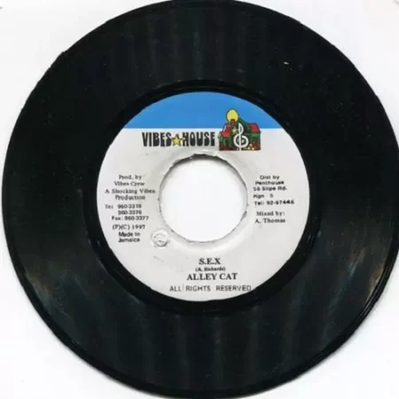 Blackout Riddim – Vibes House blackout riddim - vibes house