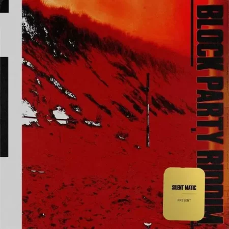 block party riddim - bashment records