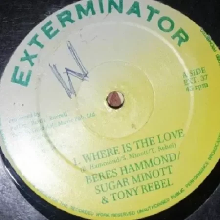 blood inna mi eye riddim - exterminator