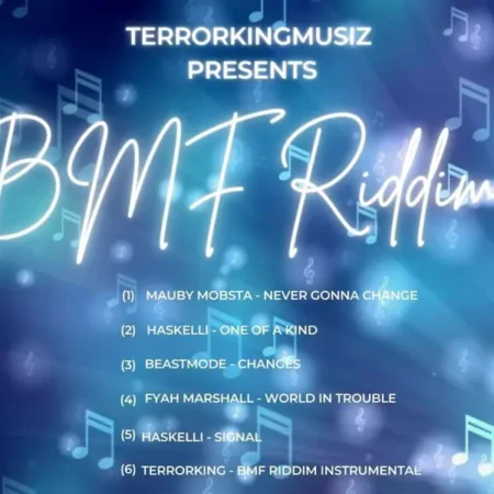 bmf riddim - terrorkingmusiz