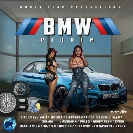bmw riddim - world team production