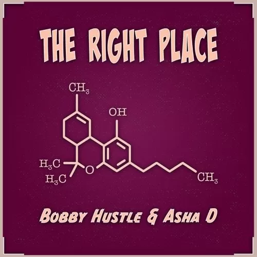 bobby hustle and asha d - the right place ep