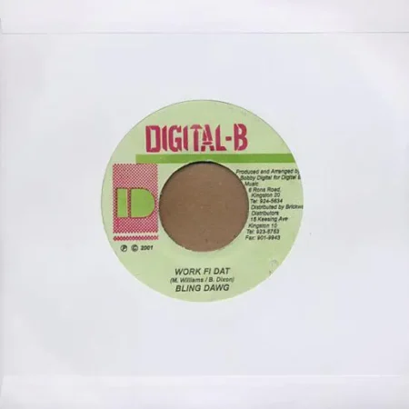 boom riddim - digital b