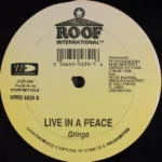 Born And Rise Riddim – Roof International