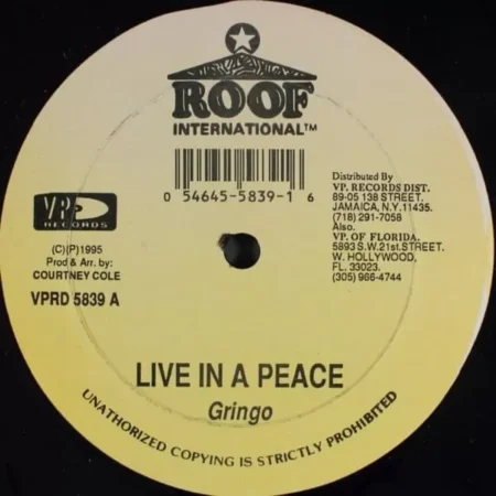 Born And Rise Riddim – Roof International born and rise riddim - roof international