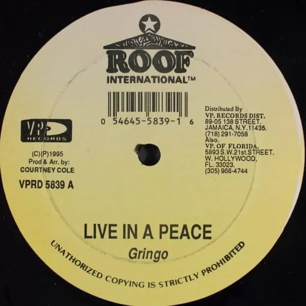 born and rise riddim - roof international